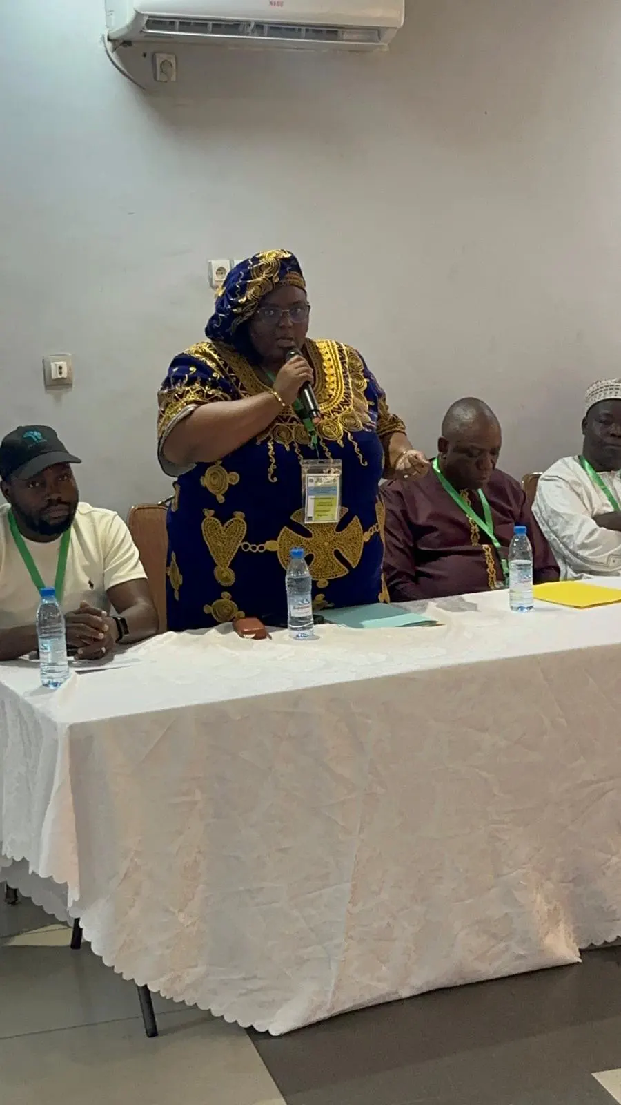 Welcome address by the organizer